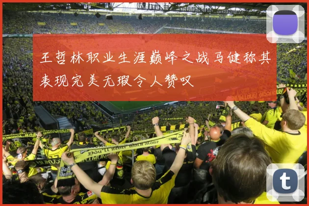 王哲林职业生涯巅峰之战马健称其表现完美无瑕令人赞叹