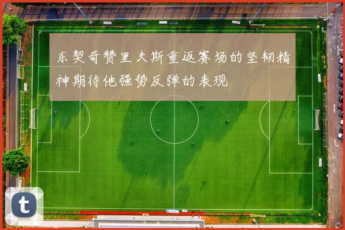 东契奇赞里夫斯重返赛场的坚韧精神期待他强势反弹的表现